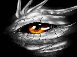 Dragon Eye Silver Scale Dragon Eye Silver Dragon Eyes Wallpaper
