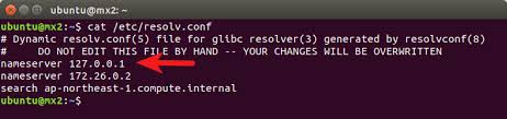 Set Up A Local Dns Resolver On Ubuntu 18 04 16 04 With Bind9