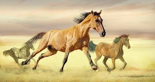 images?q=tbn%3AANd9GcQJRZ4HxPLrTodTjjewZnyzVesT1allDk4V32n7vRTrjhWY-x_A