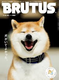 pin von michael chen auf 動物写真