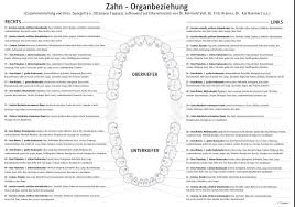 Die Zahn Organ Beziehung Risikobeurteilung Zahn