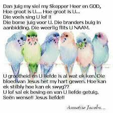 Pin By Marissa Pretorius Drewel On Afrikaans Afrikaans Quotes Special Quotes Afrikaans