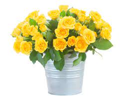 Wenn es mal etwas mehr sein soll als nur ein blumenstrauß oder. Download Hintergrundbild Blumen Rosen Blumenstrauss Weisser Hintergrund Gelb Die Auflosung 1600x1200 230011