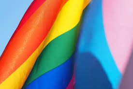 Looking for online definition of lgbtqi or what lgbtqi stands for? Beyond Pride Creating A True Lgbtq Alliance