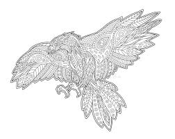 This section includes, enjoyable colouring, free printable homework, falcon coloring pages and worksheets for every age. Hawk Adult Coloring Stock Illustrations 67 Hawk Adult Coloring Stock Illustrations Vectors Clipart Dreamstime