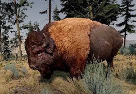 Bison are the heaviest animals that live on land in north america. Bison Wolfquest