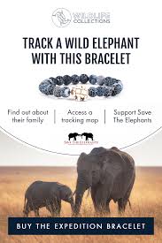 The Expedition Bracelet Elephant Save The Elephants Cute Gifts