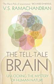 The human brain evolved through two methods: Book Summary The Tell Tale Brain By V S Ramachandran