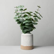 The new items push the boundaries of home decor into office and storage needs. Faux Eucalyptus Arrangement Hearth Hand With Magnolia Target