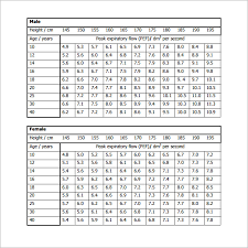 31 Correct Peak Flow Chart By Height