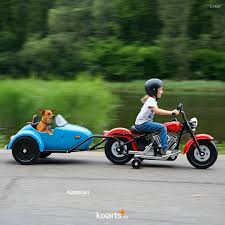 Image result for bicycle sidecar