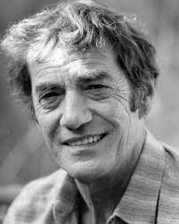 Philippe noiret est un acteur français, né le 1er octobre 1930 à lille et mort le 23 novembre 2006 à paris 7e. Daniel Duval Actrice Actrice Francaise Acteur Cinema