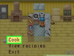 Mineral town no nakamatachi harvest moon: How To Make Baked Corn In Harvest Moon Friends Of Mineral Town