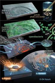 Chicxulub impact crater amascience ama series: Evolution Of Microbial Communities In The Chicxulub Crater Yucatan Download Scientific Diagram