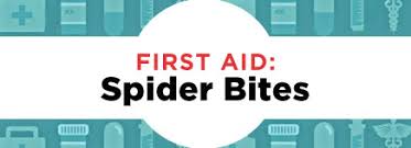 Therefore, their bites may not. Kidshealth First Aid Spider Bites Akron Children S Hospital