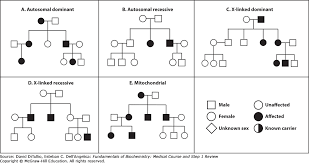 genetics disease fundamentals of biochemistry medical