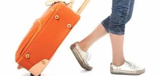 تفسير رؤية شنطة السفر في المنام معلومة ثقافية