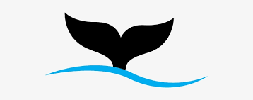 Orca Clipart Tail Orca Tail Transparent Free For Download On Webstockreview 2021 Vector whale tail silhouette logo. orca clipart tail orca tail