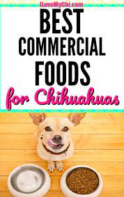 Best Commercial Foods For Chihuahuas Dog Nutrition Best Dog Food Big Dog Little Dog
