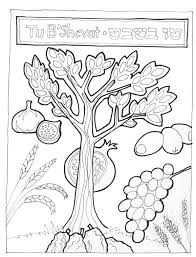 Judaickids Holiday Newsletter Happy Tu B Shevat Winter Kindergarten Jewish Activities Poppy Craft