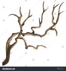Watercolor Bare Tree Snag Bough Drift 库存矢量图（免版税）289159127 | Shutterstock
