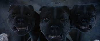 Later that year, hagrid happily told the trio that he had a won a dragon egg in a card game at the hog's head. Harry Potter World On Twitter 12 September 1991 Harry Ron Hermione And Neville Encounter Fluffy The Three Headed Dog