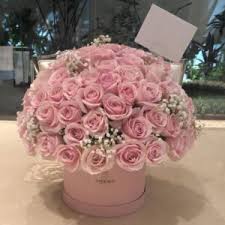 Check spelling or type a new query. Products Grand Cadeaux
