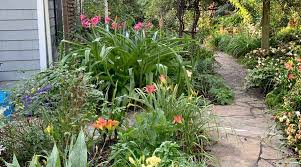 Image result for Crinum