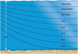 how to choose a fly line: everything