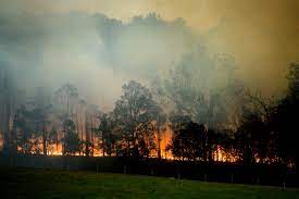 Insured Losses For 2019 2020 Australia Bushfires Estimated At A 1 9b Us 1 3b Perils