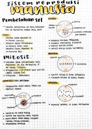 Ipm smp muhammadiyah 1 dayeuhluhur mengadakan kegiatan bakti sosial. Clear Indonesia On Twitter Sistem Reproduksi Manusia Biologi Kelas 9 Terdiri Dari 9 Halaman Yg Bakal Menjelaskan Pembelahan Sel Organ Reproduksi Hingga Penyakit Https T Co Ezohptr7ui