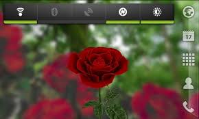 Rose and camellia mod apk 1.0.4. Free Download Super Saiyan Live Wallpaper 1 0 Apk Download Auto Design Tech 800x480 For Your Desktop Mobile Tablet Explore 46 Live Rose Wallpaper Free Download Red Rose Wallpaper