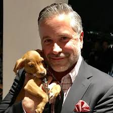 Koi Design Home & Koi Design Group (@koidesignhome) · Instagram 照片和视频