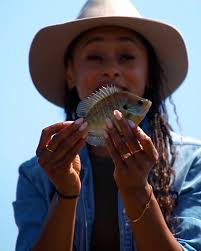 Mutual of Omaha's Wild...