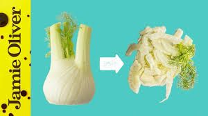 Cut fennel head in half lengthwise. How To Prepare Fennel Video Jamie Oliver