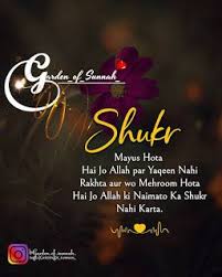 Looking for quotes on smile in hindi? Pin On Beauti Of Islam