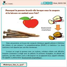 Check spelling or type a new query. Chem Tastic Fsb Les Pommes Sont L Un Des Meilleurs Facebook