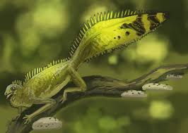 Image result for Hypuronector