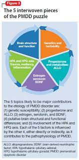 Premenstrual dysphoric disorder (pmdd) is a severe, sometimes disabling extension of premenstrual syndrome (pms). The Etiology Of Premenstral Dysphoric Disorder 5 Interwoven Pieces Mgh Center For Women S Mental Health