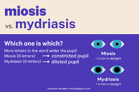 Image result for Mydriasis