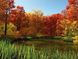 46 Free Fall Wallpapers And Backgrounds Fall Country Pond By Wallpaper Stock