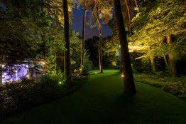 Wie Im Marchenwald In Den Rasen Eingelassene Spots Beleuchten Stimmungsvoll Alten Baumbestand Im Garten Alte Baume Licht Im Garten Marchen Wald