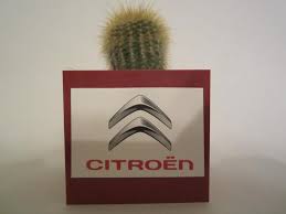 Presentation C4 Cactus Vti82 Bvm5 Olive Brown Noir Shine