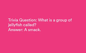 If you fail, then bless your heart. 120 Unique Easy Trivia Questions And Answers For All Ages