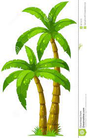 Two Palm Trees Palm Tree Drawing Cartoon Palm Tree Palm Tree Vector