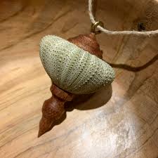 We did not find results for: One Of A Few Sea Urchin Ornaments This Year Turning