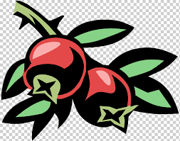 Cranberry Graphics Cranberry Food Leaf Blueberry Png Klipartz Cranberry and blueberry seamless background. klipartz
