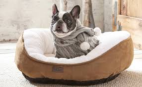 Check spelling or type a new query. Kmart Pet Heat Pad Online