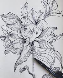 Peruvian Lillies Alstroemeria I Think These Are One Of My Favourite Flowers But A Really Difficult On Flower Drawing Floral Drawing Floral Illustrations