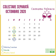 Datele companiei compania de apa somes s.a. Satul Valcele Cluj Feleacu Cluj Napoca 2021